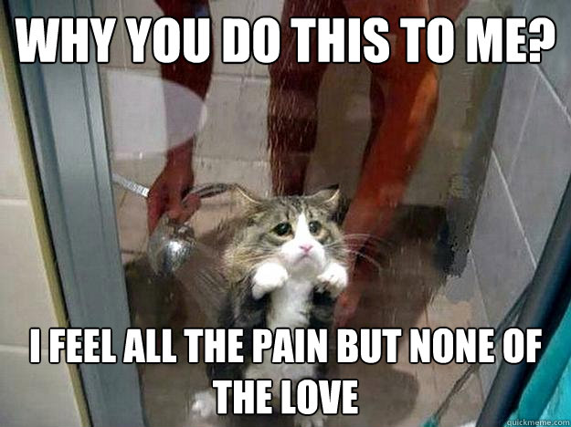 Why you do this to me? i feel all the pain but none of the love  Shower kitty