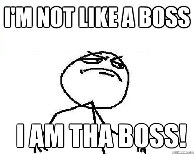 I'm not like a boss I am tha boss!  