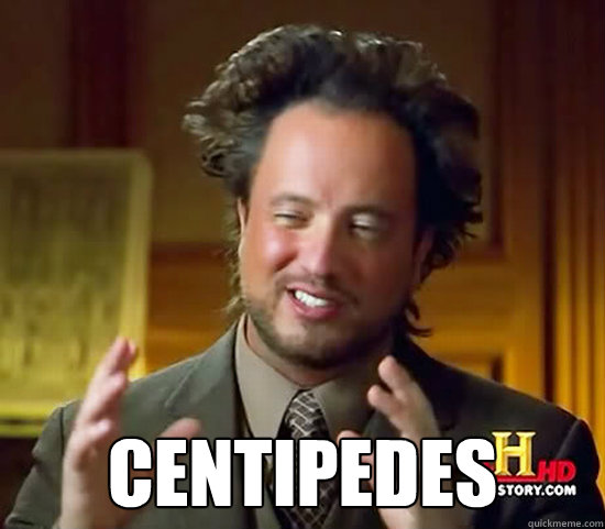  centipedes  Ancient Aliens