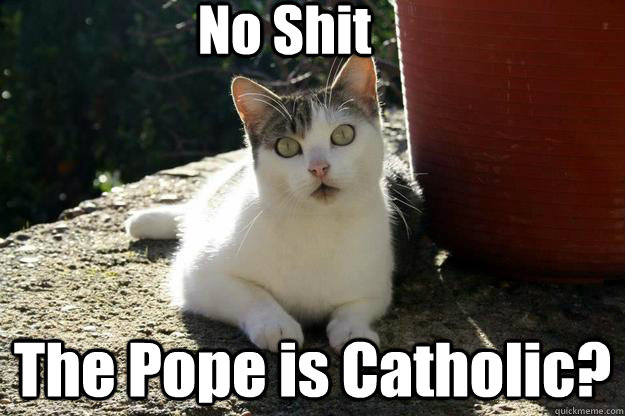 No Shit The Pope is Catholic?  