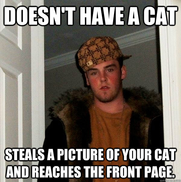 doesn't have a cat steals a picture of your cat and reaches the front page.  Scumbag Steve