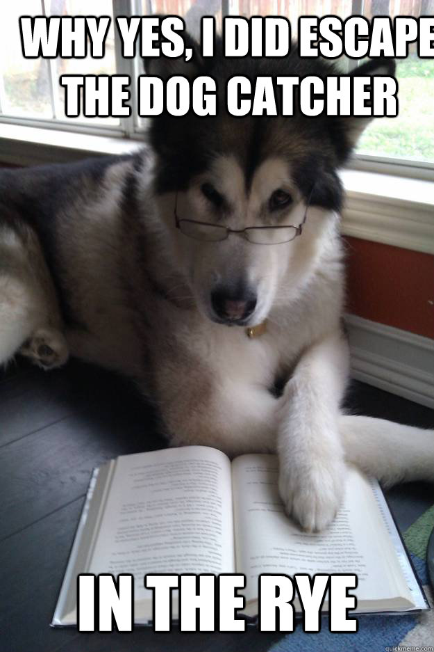 why yes, i did escape the dog catcher in the rye  Condescending Literary Pun Dog
