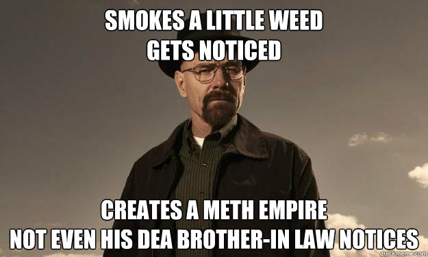 Smokes a little weed
Gets noticed Creates a meth empire
Not even his dea brother-in law notices - Smokes a little weed
Gets noticed Creates a meth empire
Not even his dea brother-in law notices  Breaking Bad Logic