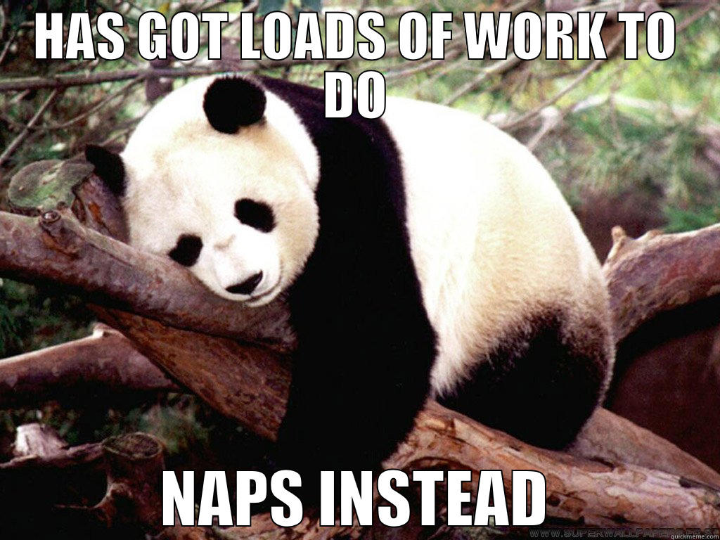The Amazing Panda - HAS GOT LOADS OF WORK TO DO NAPS INSTEAD Misc