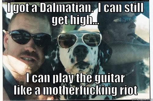 I GOT A DALMATIAN.  I CAN STILL GET HIGH... I CAN PLAY THE GUITAR LIKE A MOTHERFUCKING RIOT Misc
