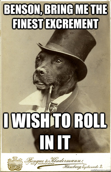 benson, bring me the finest excrement i wish to roll in it  Old Money Dog