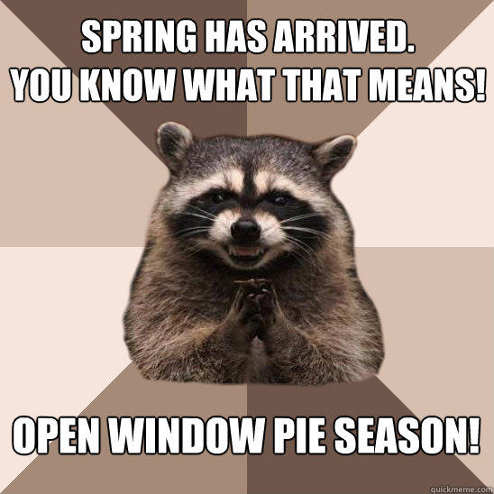 Spring has arrived.
You know what that means! Open Window Pie Season! - Spring has arrived.
You know what that means! Open Window Pie Season!  Evil Plotting Raccoon