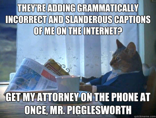 they're adding grammatically incorrect and slanderous captions of me on the internet? get my attorney on the phone at once, mr. pigglesworth  The One Percent Cat