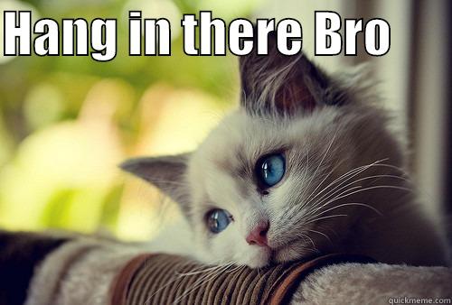 Lots of brolove - HANG IN THERE BRO        First World Problems Cat