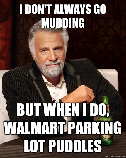 I don't always go mudding  But when i do, Walmart parking lot puddles   The Most Interesting Man In The World