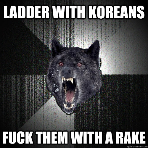 Ladder with koreans fuck them with a rake  Insanity Wolf