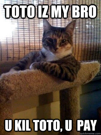 Toto iz my bro U kil toto, U  pay  The Most Interesting Cat in the World