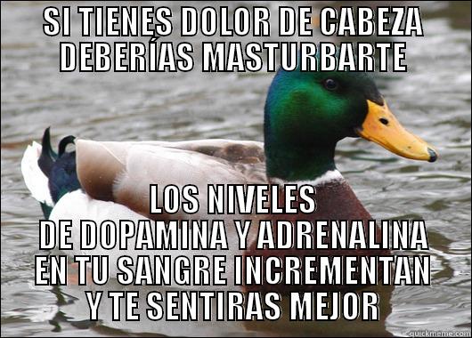 SI TIENES DOLOR DE CABEZA DEBERÍAS MASTURBARTE LOS NIVELES DE DOPAMINA Y ADRENALINA EN TU SANGRE INCREMENTAN Y TE SENTIRAS MEJOR Actual Advice Mallard