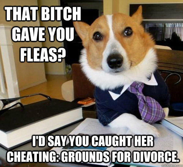 That bitch gave you fleas? i'd say you caught her cheating: Grounds for divorce.  Lawyer Dog