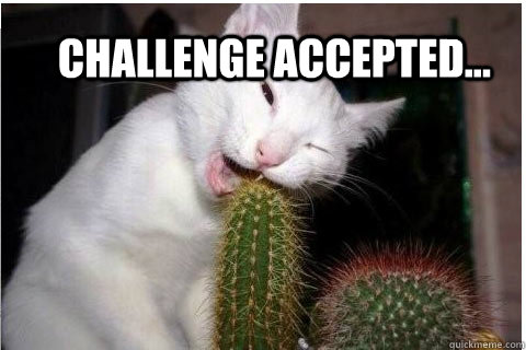 Challenge accepted...  