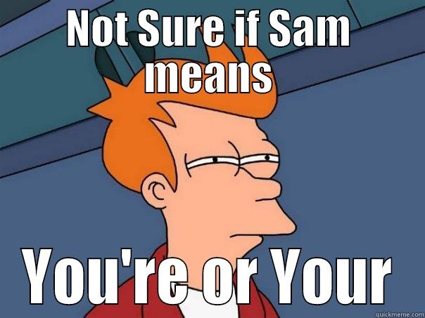 NOT SURE IF SAM MEANS YOU'RE OR YOUR Futurama Fry
