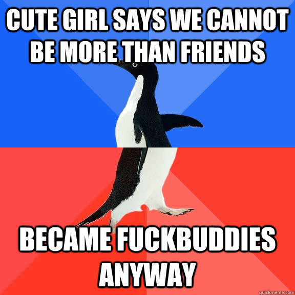cute girl says we cannot be more than friends became fuckbuddies anyway  Socially Awkward Awesome Penguin