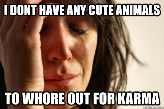 I dont have any cute animals  to whore out for karma  First World Problems