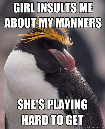 girl insults me about my manners she's playing hard to get - girl insults me about my manners she's playing hard to get  Socially Overconfident Penguin