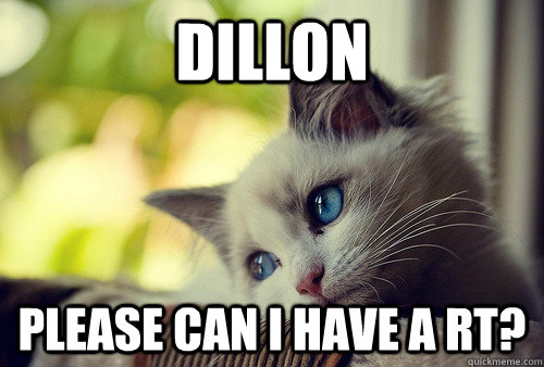 DILLON PLEASE CAN I HAVE A RT?  First World Problems Cat