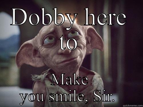 DOBBY HERE TO MAKE YOU SMILE, SIR.  Misc