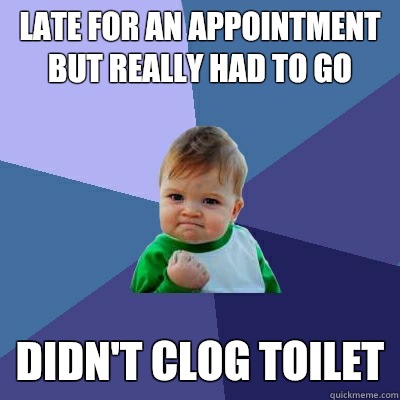 Late for an appointment but really had to go Didn't clog toilet  Success Kid