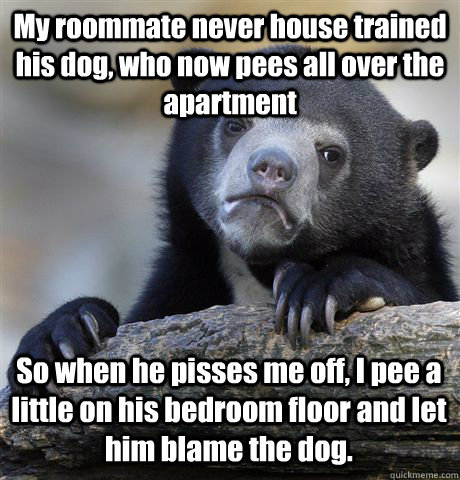 My roommate never house trained his dog, who now pees all over the apartment So when he pisses me off, I pee a little on his bedroom floor and let him blame the dog.  Confession Bear