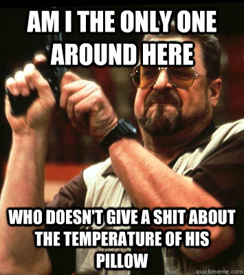 AM I THE ONLY ONE AROUND HERE  Who doesn't give a shit about the temperature of his pillow - AM I THE ONLY ONE AROUND HERE  Who doesn't give a shit about the temperature of his pillow  Misc