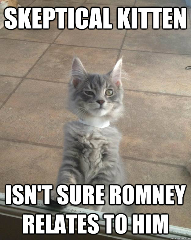 Skeptical Kitten Isn't sure Romney Relates to him  Skeptical Kitten
