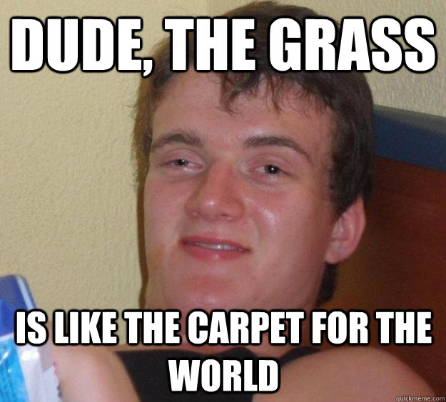 Dude, the grass is like the carpet for the world  10 Guy