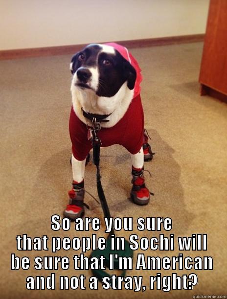  SO ARE YOU SURE THAT PEOPLE IN SOCHI WILL BE SURE THAT I'M AMERICAN AND NOT A STRAY, RIGHT? Misc