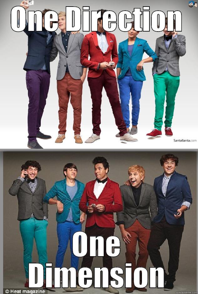 ONE DIRECTION ONE DIMENSION Misc