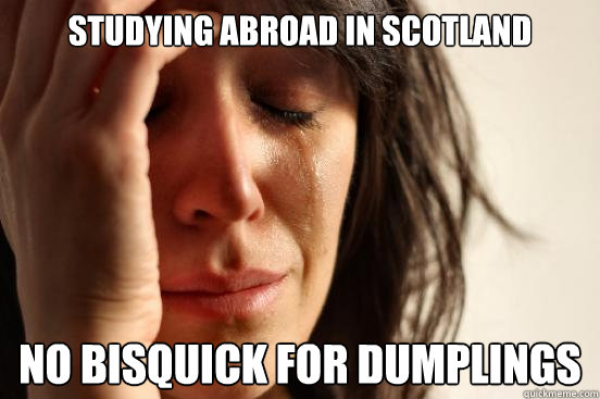 Studying Abroad In Scotland No Bisquick For Dumplings  First World Problems