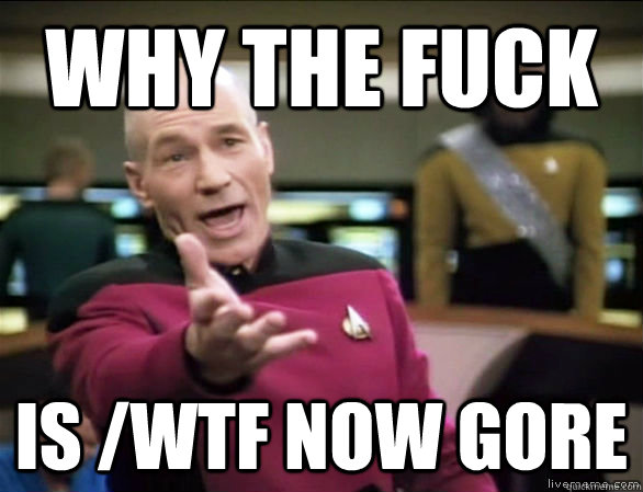 why the fuck is /wtf now gore  Annoyed Picard HD
