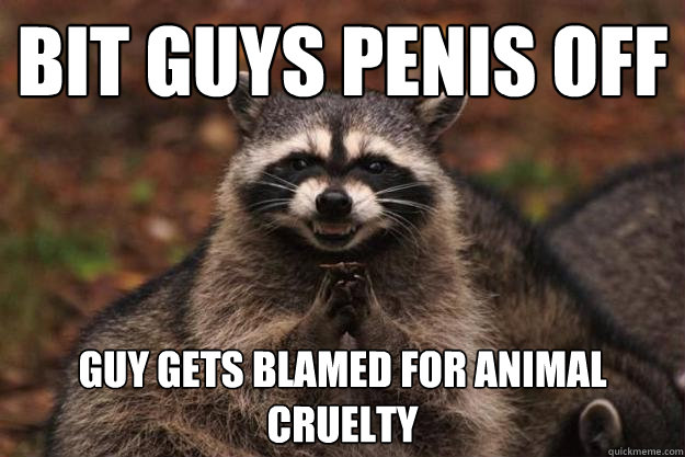 bit guys penis off guy gets blamed for animal cruelty  Evil Plotting Raccoon