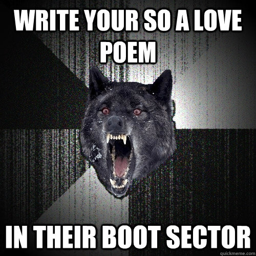 Write your so a love poem in their boot sector  Insanity Wolf