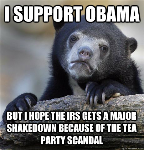 i support obama but i hope the irs gets a major shakedown because of the tea party scandal  Confession Bear