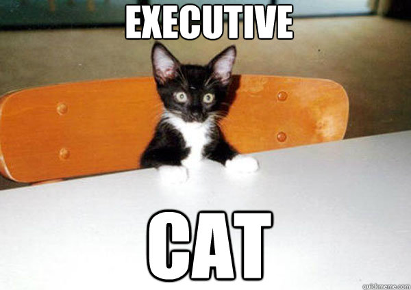 EXECUTIVE CAT  