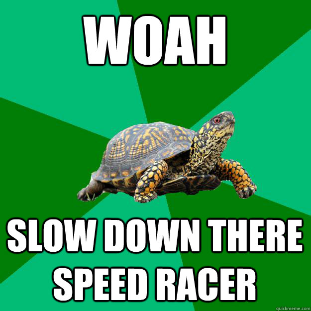 WOAH SLOW DOWN THERE SPEED RACER - WOAH SLOW DOWN THERE SPEED RACER  Torrenting Turtle