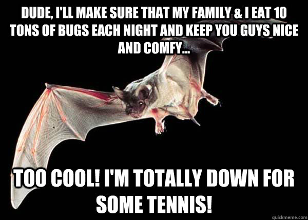 Dude, I'll make sure that my family & I eat 10 tons of bugs each night and keep you guys nice and comfy... Too Cool! I'm totally down for some tennis! - Dude, I'll make sure that my family & I eat 10 tons of bugs each night and keep you guys nice and comfy... Too Cool! I'm totally down for some tennis!  MIsunderstood Bat