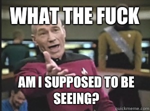What the fuck Am I supposed to be seeing?  Annoyed Picard