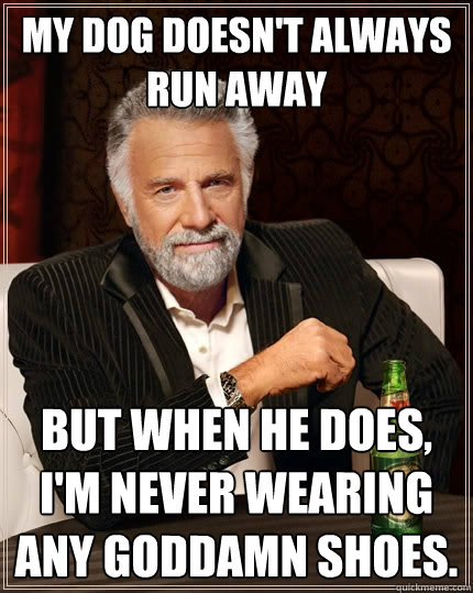 My dog doesn't always run away But when he does, I'm never wearing any goddamn shoes.  The Most Interesting Man In The World