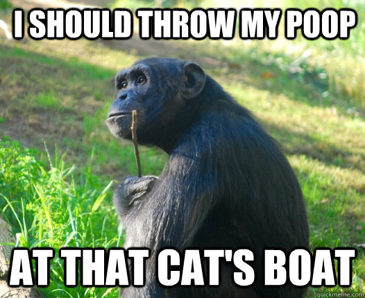 I should throw my poop at that cat's boat - I should throw my poop at that cat's boat  Contemplative Chimp