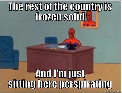THE REST OF THE COUNTRY IS FROZEN SOLID AND I'M JUST SITTING HERE PERSPIRATING Spiderman Desk