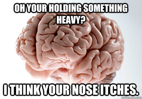 oh your holding something heavy? i think your nose itches.  Scumbag Brain