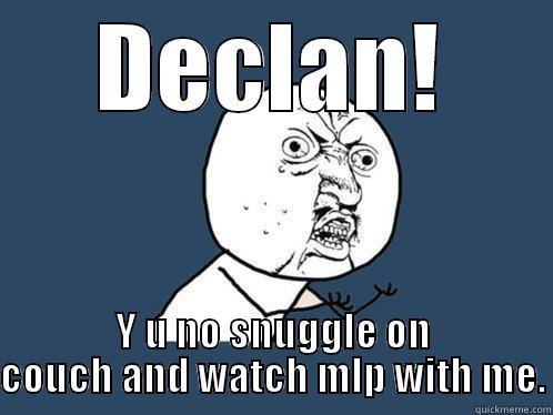 DECLAN! Y U NO SNUGGLE ON COUCH AND WATCH MLP WITH ME. Y U No