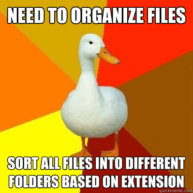 Need to organize files Sort all files into different folders based on extension  Tech Impaired Duck