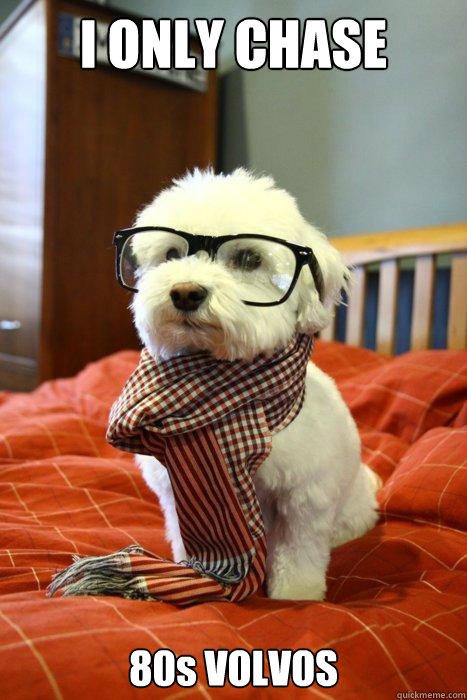 I ONLY CHASE 80s VOLVOS  Hipster Dog