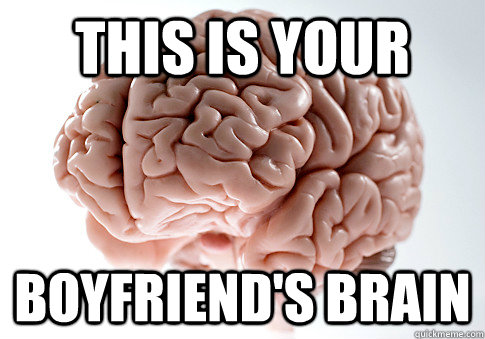 this is your  boyfriend's brain  Scumbag Brain