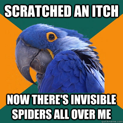 Scratched an itch now there's invisible spiders all over me  Paranoid Parrot